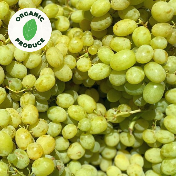 Grapes Sugar Crisp or Menindee Organic 1kg