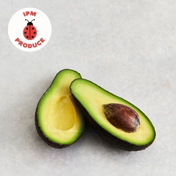 Avocado Hass IPM x2 small