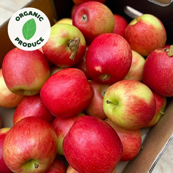 Apples Jazz Organic 1kg