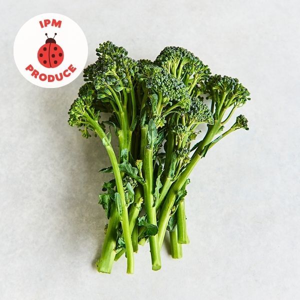 Broccolini IPM 2 bunches