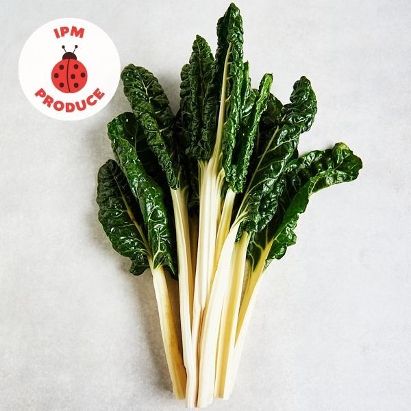 Silverbeet IPM 1 bunch