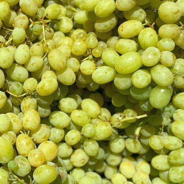 Grapes Green Menindee Organic 500g