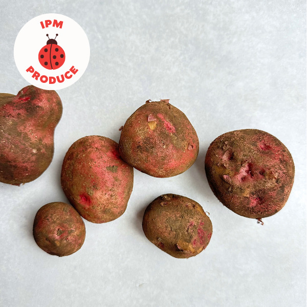 Potatoes Pontiac IPM 2kg