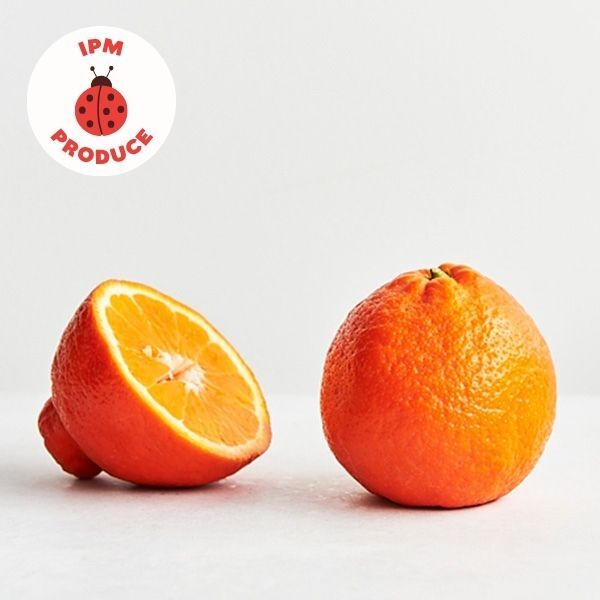 Tangelos IPM 1kg