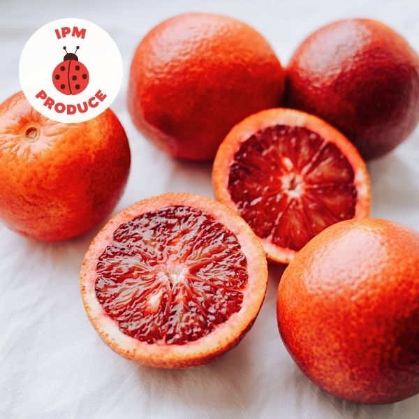 Oranges Blood IPM 500g