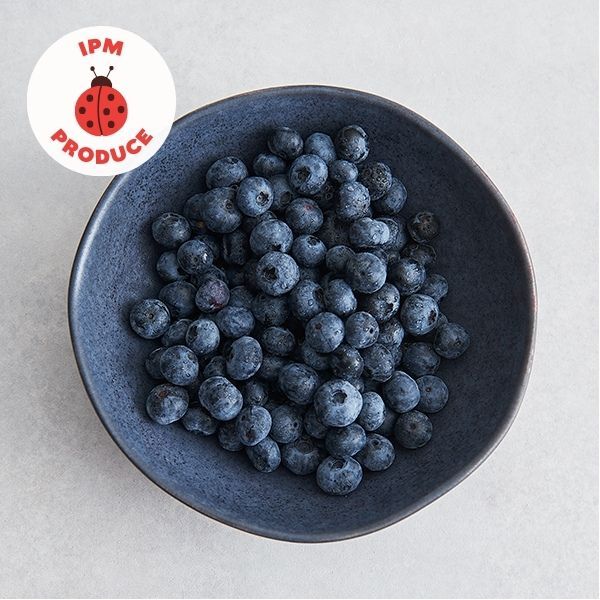 Blueberries IPM 125g punnet x 2