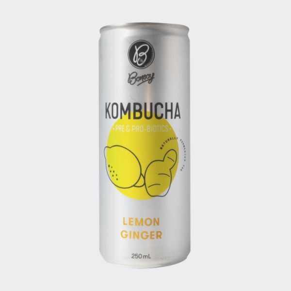 Bonsoy Kombucha Lemon Ginger 12x250ml