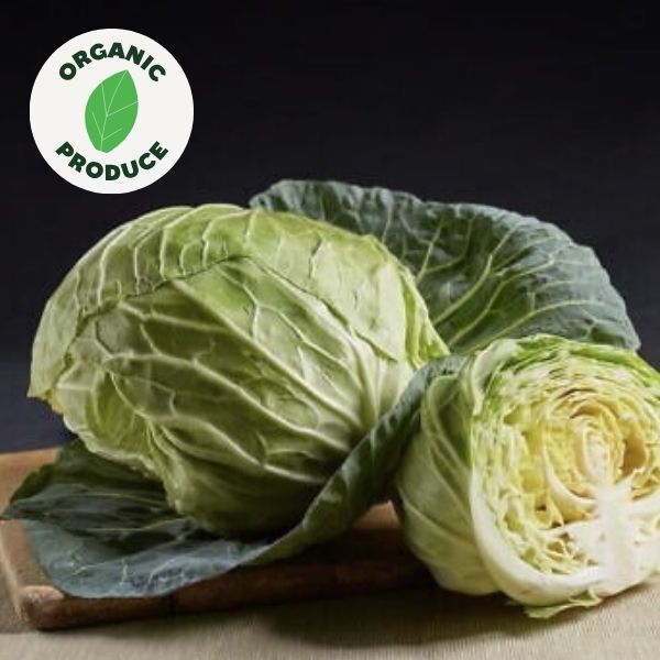 Cabbage Saku Saku Organic 1/2