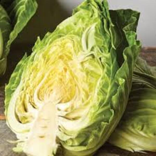 Cabbage Saku Saku Organic whole