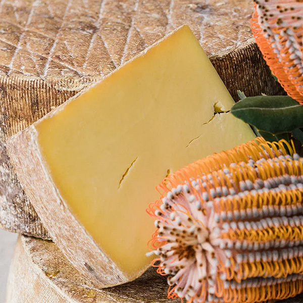 Long Paddock Cheese Banksia 150g QUICK SALE