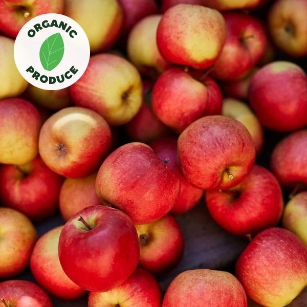 Apples Southern Bliss Organic 500g
