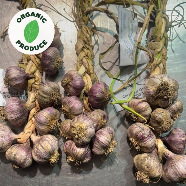 Garlic Braid Purple Organic (8-10 heads)