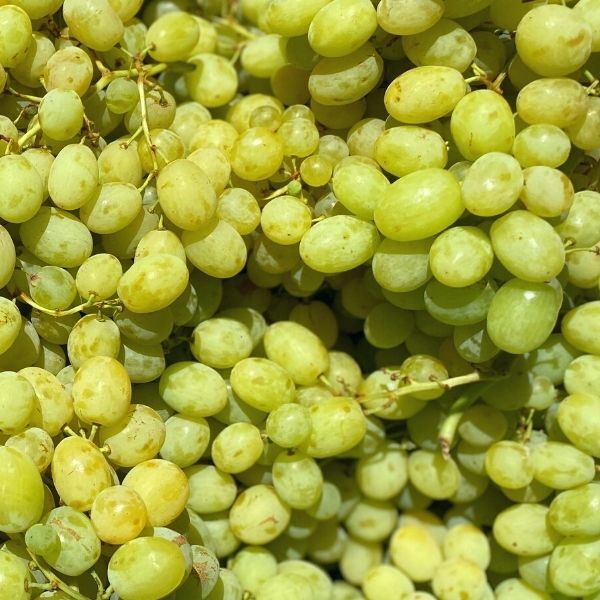 Grapes Green Menindee 250g