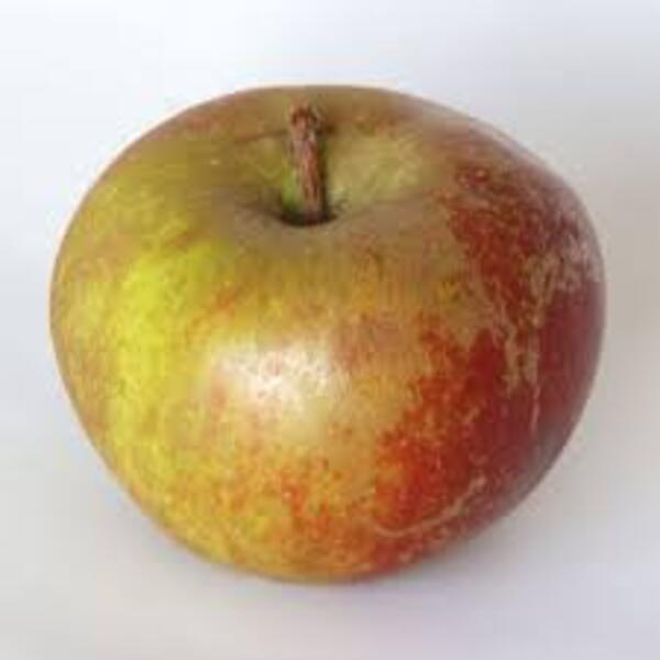 Apples Belle de Boskoop Organic 1kg