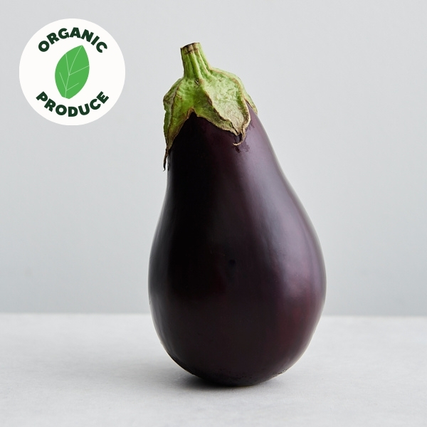 Eggplant Organic x1