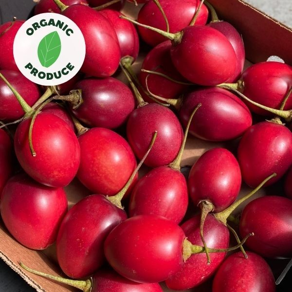 Tamarillo Organic x3