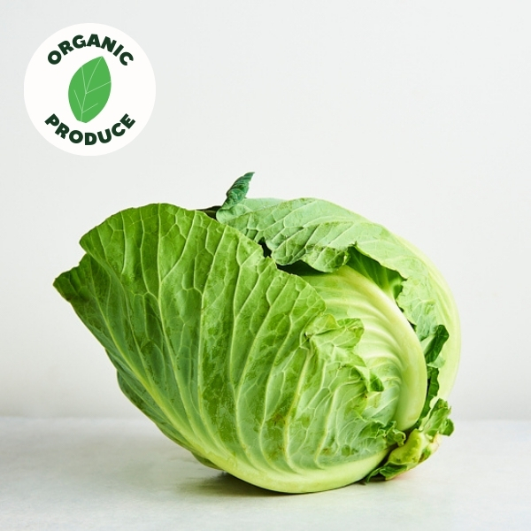 Cabbage Green Organic x1