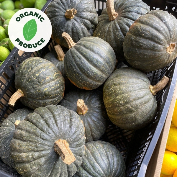 Pumpkin Potkin Organic 1kg