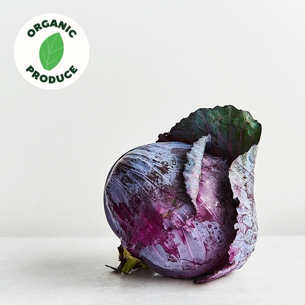 Cabbage Red Organic x1