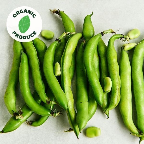 Broad Beans Organic 500g