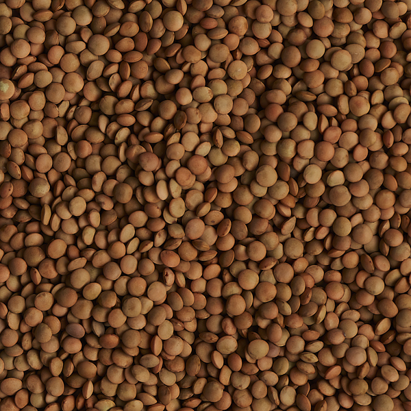 Lentils Mount Zero Persian Style Red  1kg