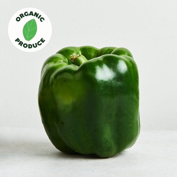 Capsicum Green Organic x1