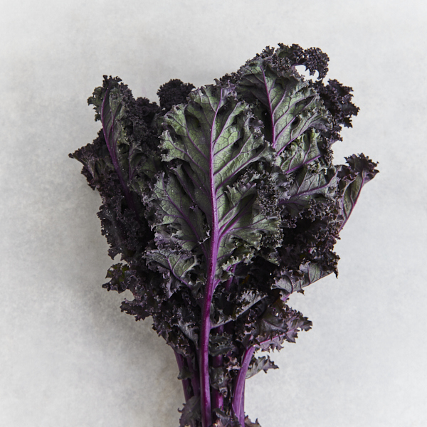 Kale Red 1 bunch