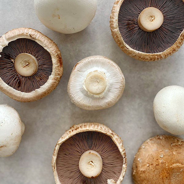 Mushrooms Swiss Brown / Portobello 250g