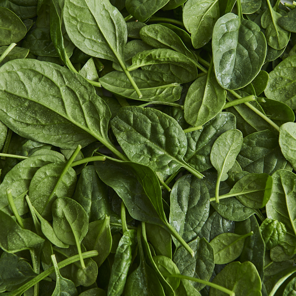 Spinach Leaves 1.5kg